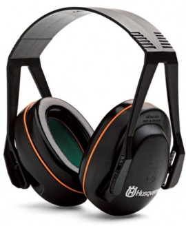 Ωτοασπίδες κήπου